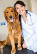 Dog at the vet