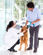 Man taking dog to the vet