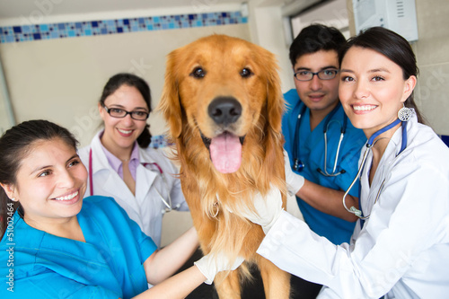 Photo: Group of doctors at the vet Group of doctors at the vet