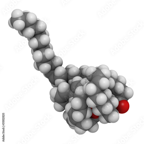 Illustration: Fish oil triglyceride, molecular model Fish oil triglyceride, molecular model