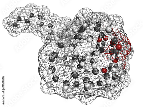 Illustration: Fish oil triglyceride, molecular model Fish oil triglyceride, molecular model