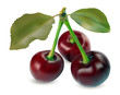 sweet cherries
