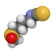 Sulforaphane broccoli and Brussels sprouts molecule, chemical st