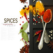 Spices border.Isolated on white