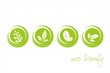 leaves, icons , nature, Eco friendly business logo