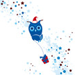Owl, merry christmas