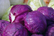 Red cabbage