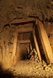 Timbered Mine Shaft