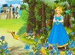 The princesses - castles - knights and fairies