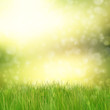 Green grass on abstract background