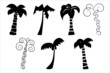 Silhouettes of palm trees