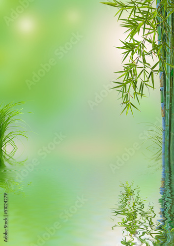 Photo: composition nature asiatique composition nature asiatique