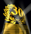 Illustration: thirty number laurel wreath thirty number laurel wreath