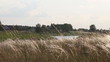 rural landscape