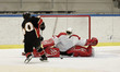 Ice Hockey Game