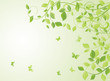 Spring green card