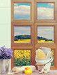 Foto: Bathroom Window Bathroom Window