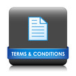 TERMS AND CONDITIONS Web Button (sale use contract disclaimers)