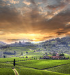 Chianti vineyard landscape in Tuscany, Italy