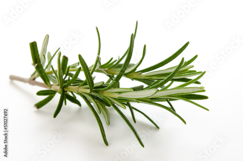 Photo: Rosmarin - Rosemary Rosmarin - Rosemary