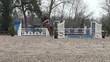 équitation