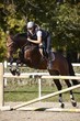 Horsewoman putting horse over the jumps
