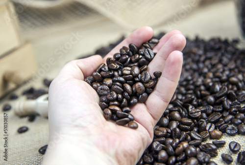 Photo: Kaffeeauslese Kaffeeauslese