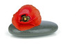 Photo: spa concept with zen stone and flower spa concept with zen stone and flower