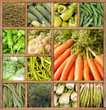Vegetable collection
