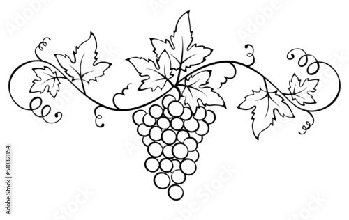 Vector ornament with the vine