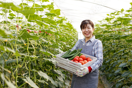 Photo: 野菜の収穫 野菜の収穫
