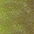 bacteria background render