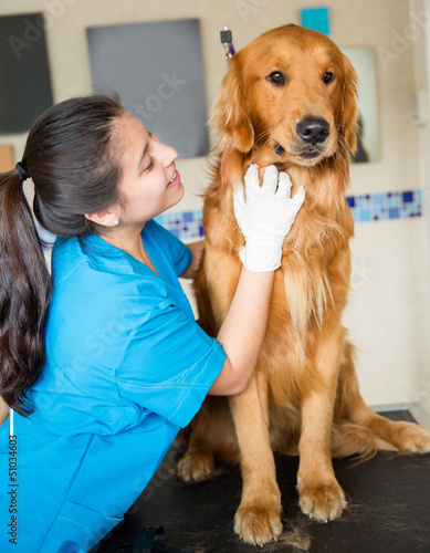 Photo: Dog at the vet Dog at the vet