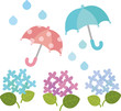 雨傘とアジサイ