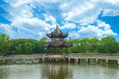 Classical garden of China in summer