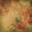 Vintage background with flowers (roses)