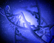 DNA molecule