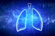 Schematic illustration of human lungs