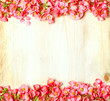 fiori di pesco texture