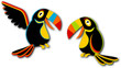 Couple de Toucan