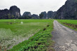 Limestone towers and rice fields. Ninh Binh, Vietnam