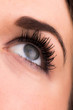 Female eye close up