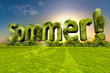 Endlich Sommer!