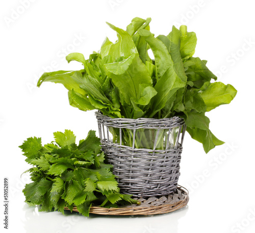 Photo: Fresh herbs in wooden pot isolated on white Fresh herbs in wooden pot isolated on white