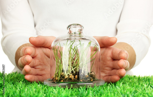 Photo: Hands protect grass under glass cover Hands protect grass under glass cover