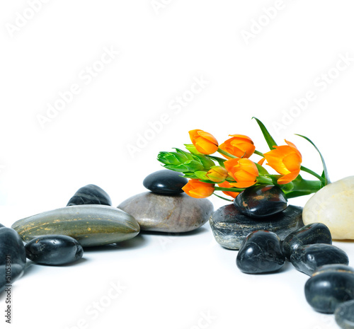 Photo: Stilleben aus Steinen und orangefarbenen Blüten Stilleben aus Steinen und orangefarbenen Blüten