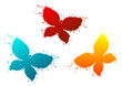 Butterflyes as a colorful blots