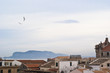 View of Palermo with roofs and seagulls