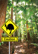 cassowary sign