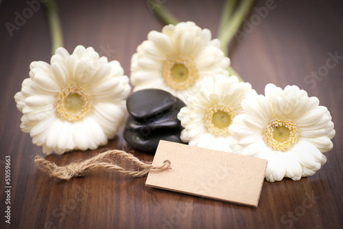 Photo: Wellness, Label Wellness, Label